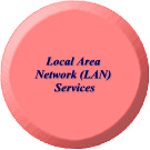 Local Area Network (LAN) Services